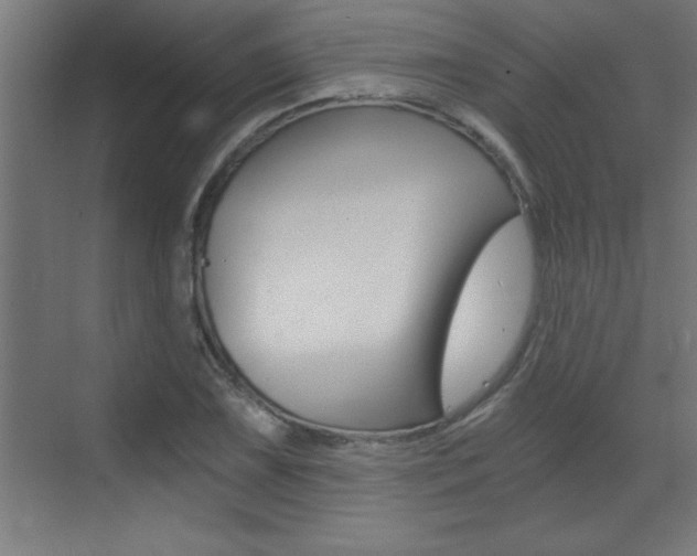 X0000072961075200607210958
