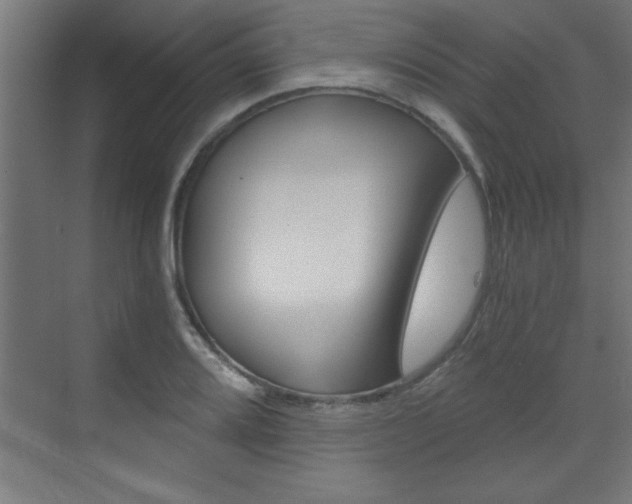 X0000072961080200607210958