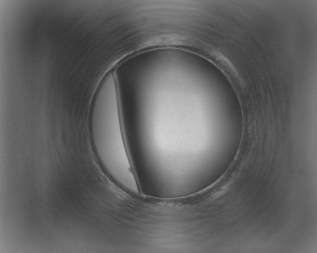 X0000072961081200607210958