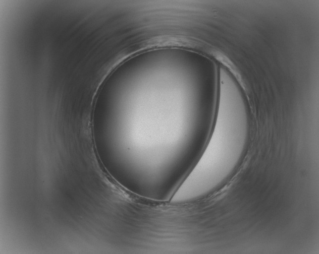 X0000072961089200607210958