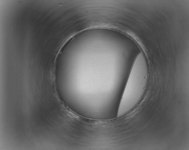 X0000072961097200607210958