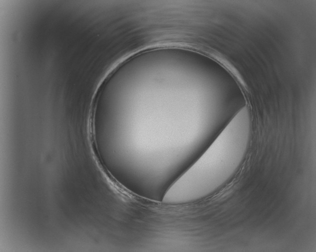 X0000072961101200607210958