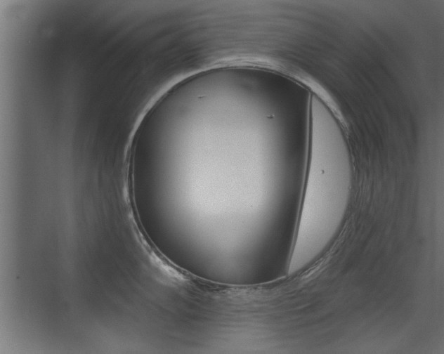 X0000072961102200607210958