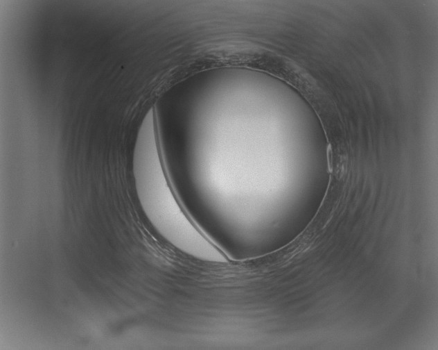 X0000072961108200607210957