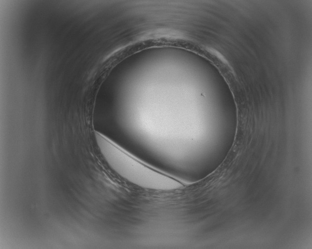 X0000072961112200607210957