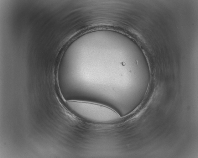 X0000072961113200607210957