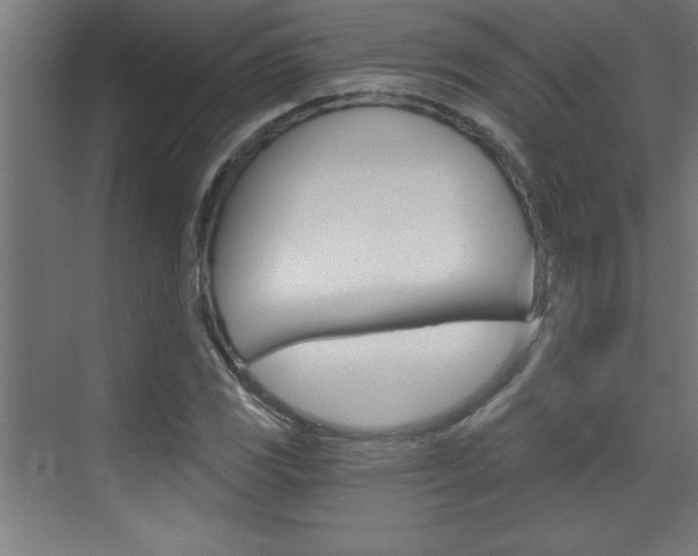 X0000072961117200607210957
