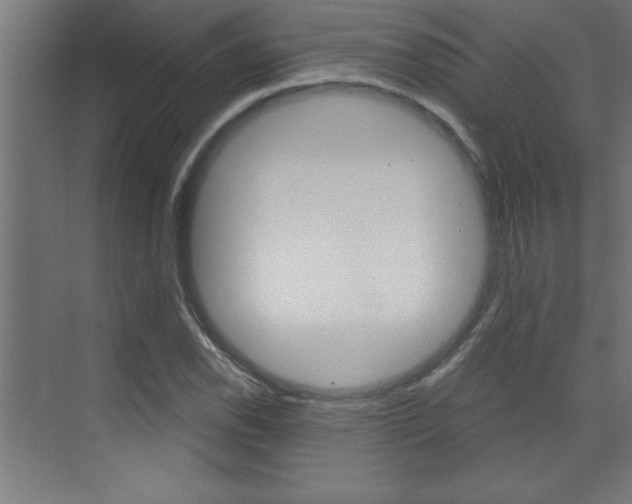 X0000072961118200607210957