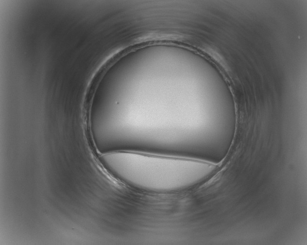 X0000072961119200607210957