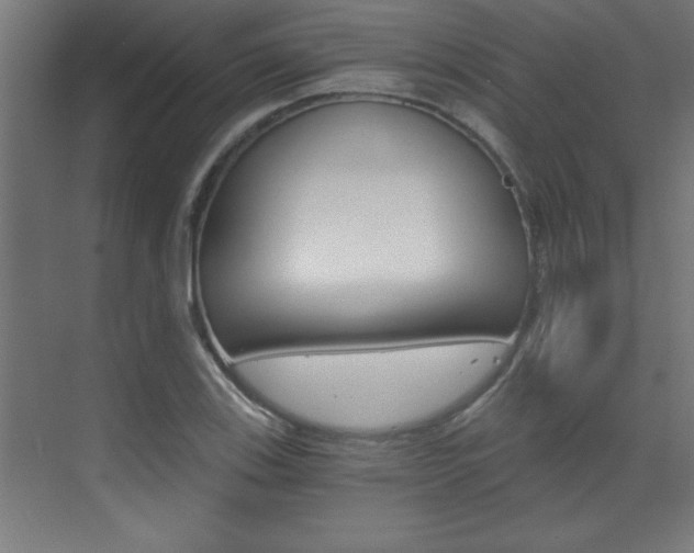 X0000072961123200607210957