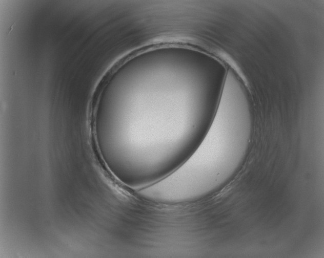 X0000072961124200607210957
