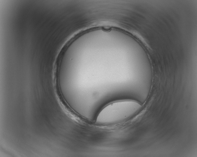 X0000072961126200607210958