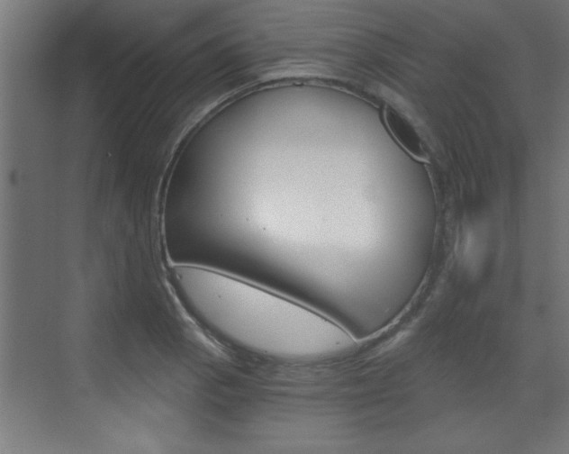 X0000072961129200607210958