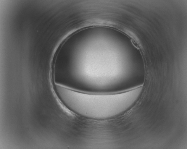 X0000072961136200607210958
