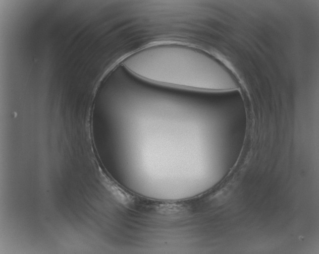X0000072961137200607210958