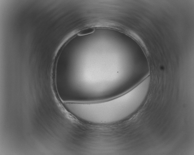 X0000072961138200607210958