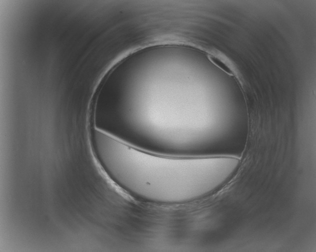 X0000072961142200607210958