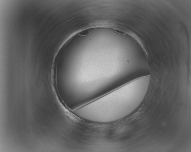 X0000072961147200607210958
