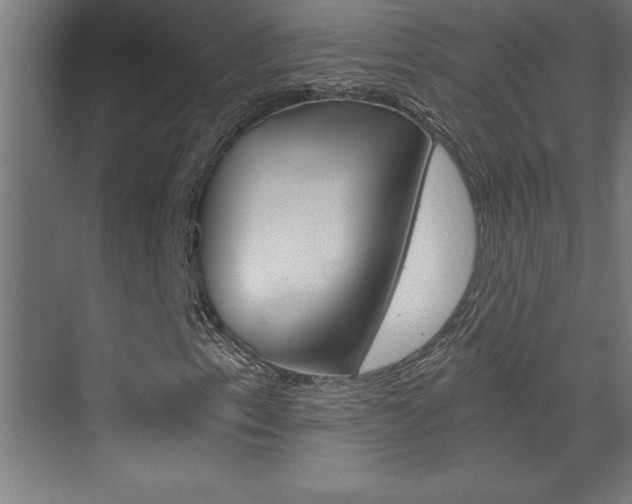 X0000072961153200607210957