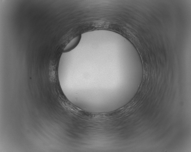 X0000072961154200607210957