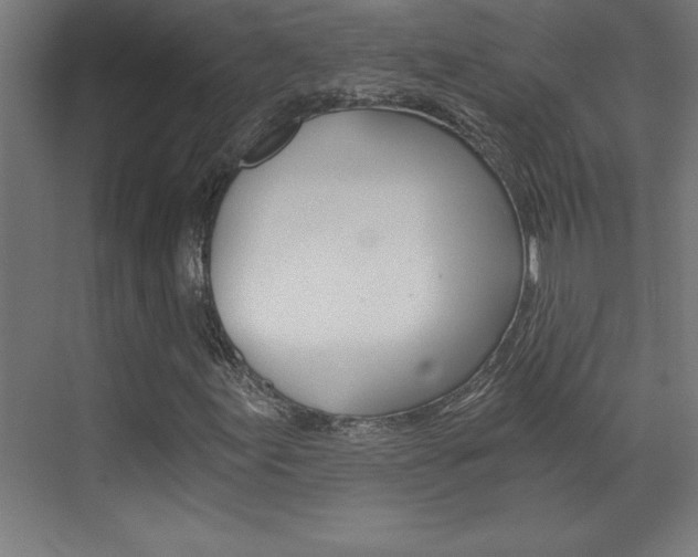 X0000072961155200607210957