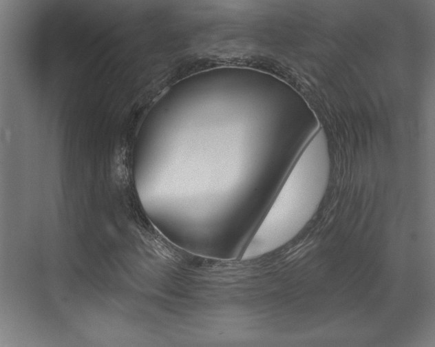 X0000072961156200607210957