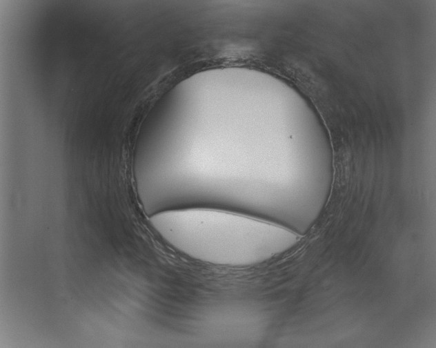 X0000072961158200607210957