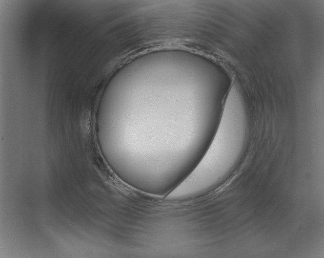 X0000072961161200607210957