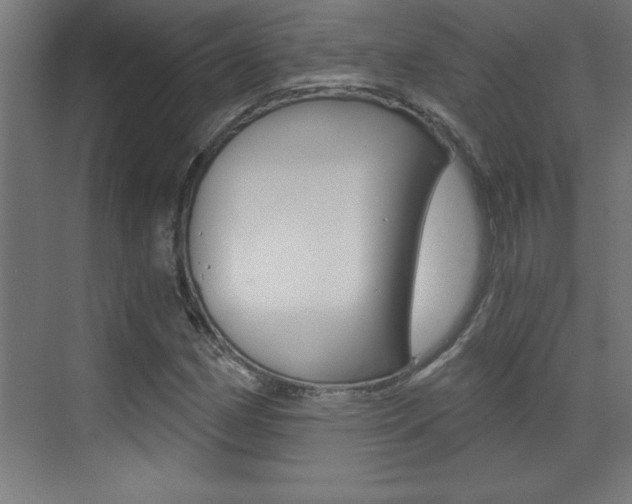 X0000072961162200607210957
