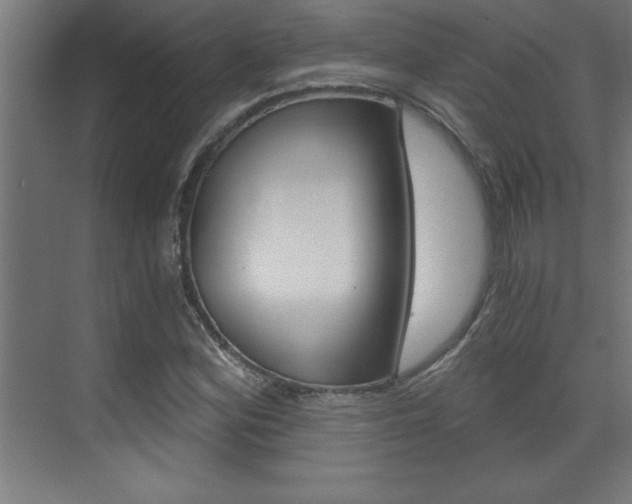 X0000072961164200607210957