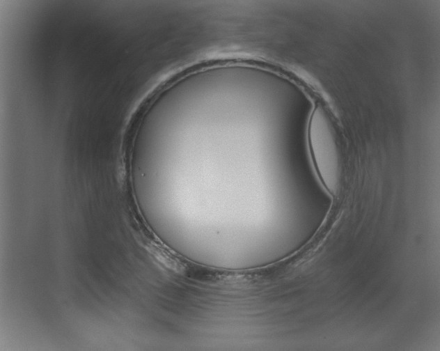X0000072961167200607210957