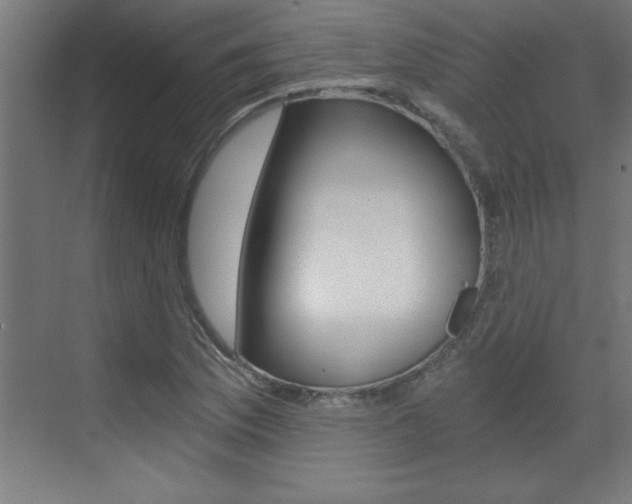X0000072961169200607210957