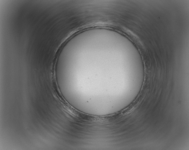 X0000072961170200607210957