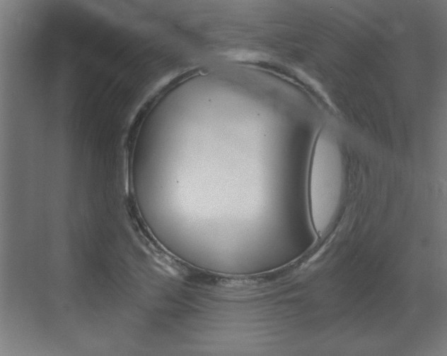 X0000072961171200607210957