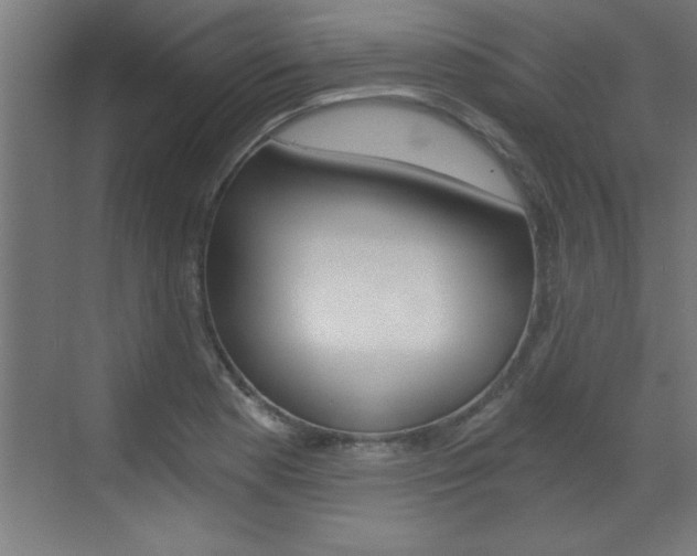 X0000072961177200607210957