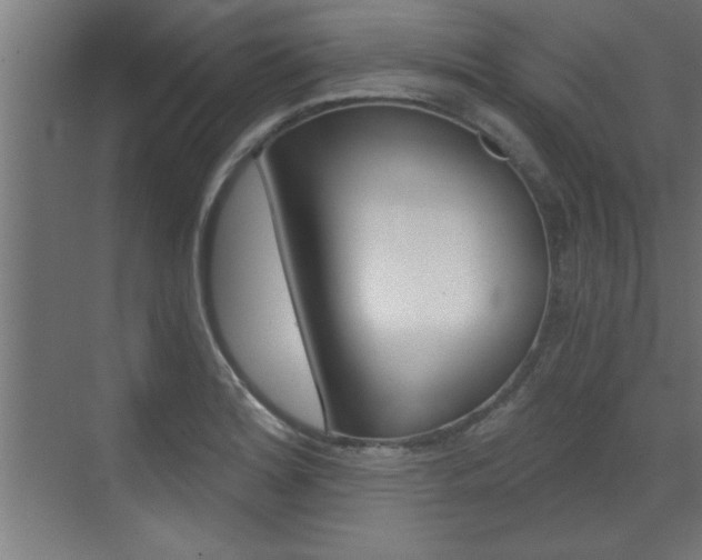 X0000072961180200607210957