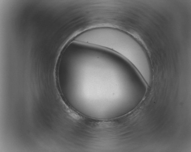 X0000072961181200607210957