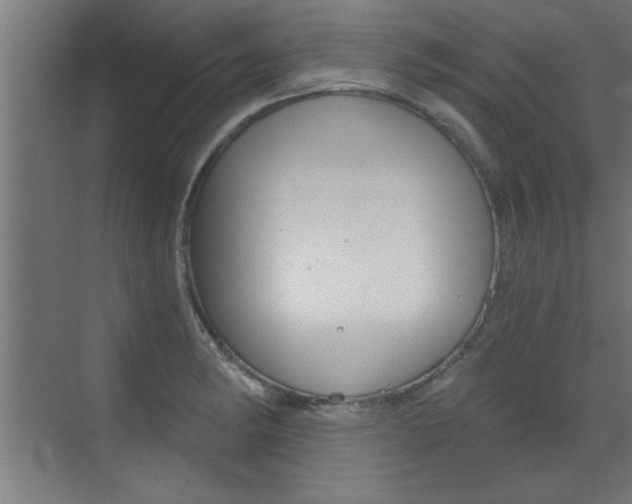 X0000072961182200607210957