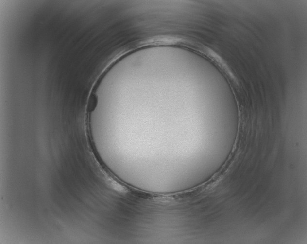 X0000072961186200607210957