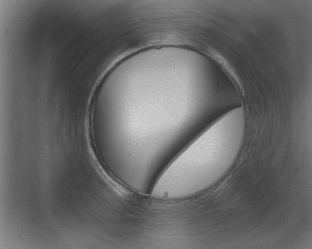 X0000072961187200607210957