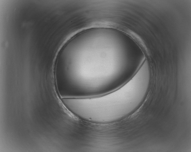 X0000072961192200607210956