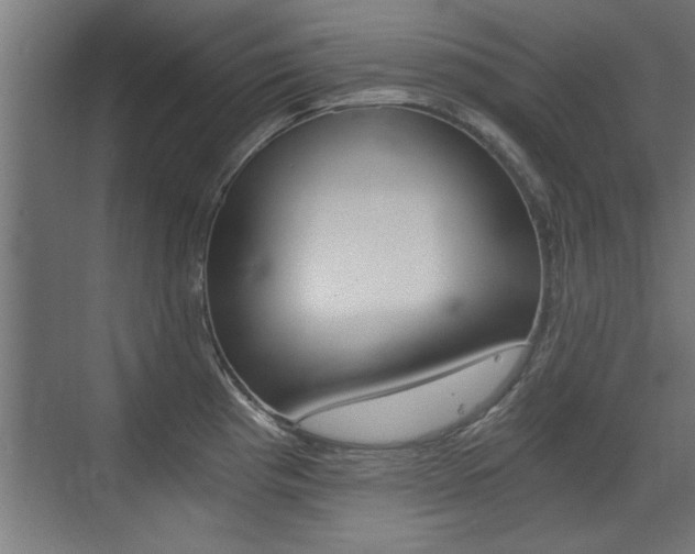 X0000072961193200607210956