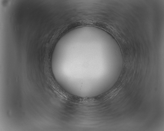 X0000072961201200607210956