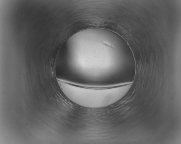 X0000072961202200607210956