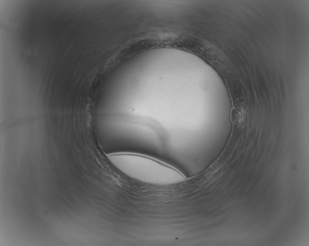 X0000072961204200607210956