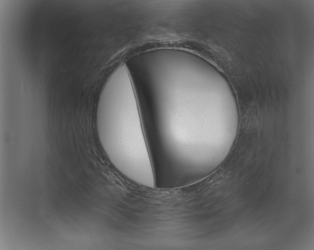 X0000072961205200607210956