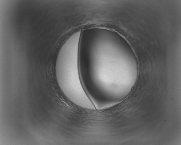 X0000072961206200607210956