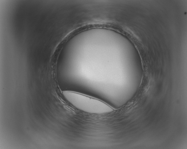 X0000072961208200607210956