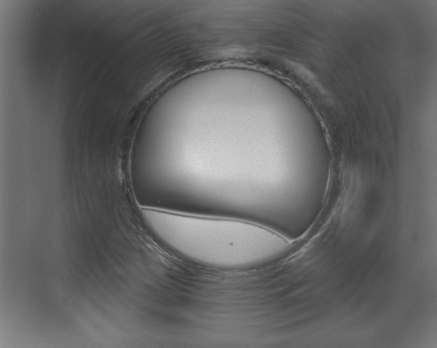 X0000072961209200607210956