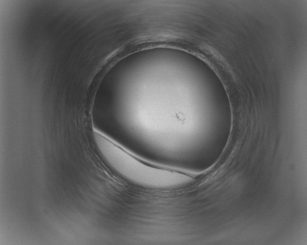 X0000072961210200607210956